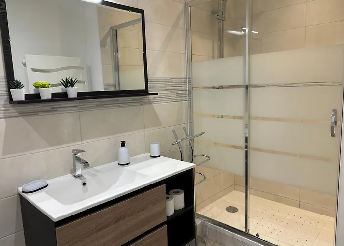 Apartment Appt Duplex - 8 Personnes Saint-Nectaire